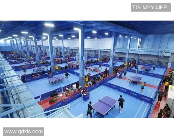 北京乒乓球队的精神风貌与竞技意识深度解析与探讨